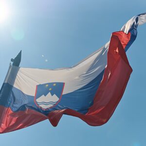 Гражданство Словении за заслуги