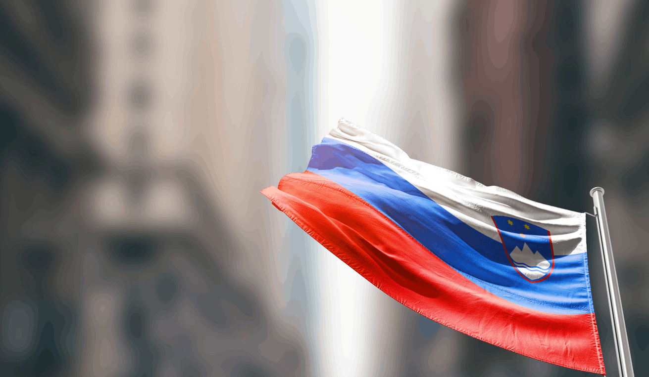 Иммиграция в Словению с Direct Slovenia