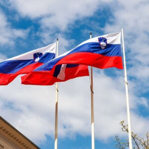 Оформление ВНЖ в Словении с поддержкой Newland Chase